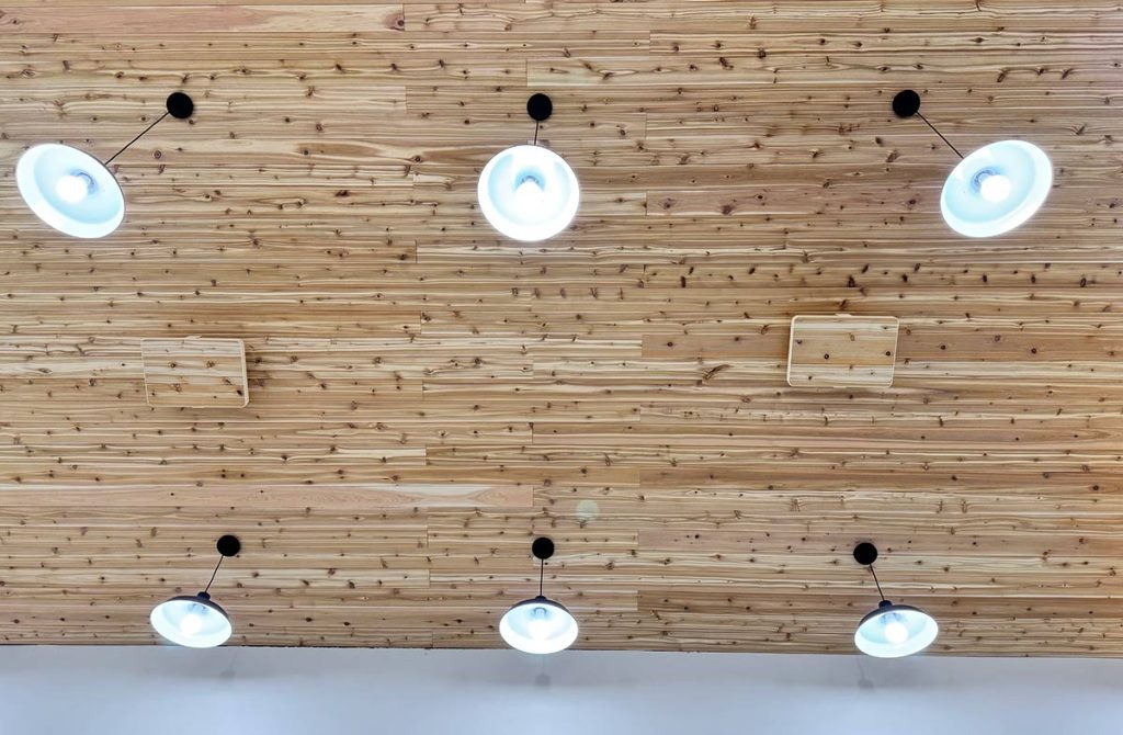 Ceiling Speakers